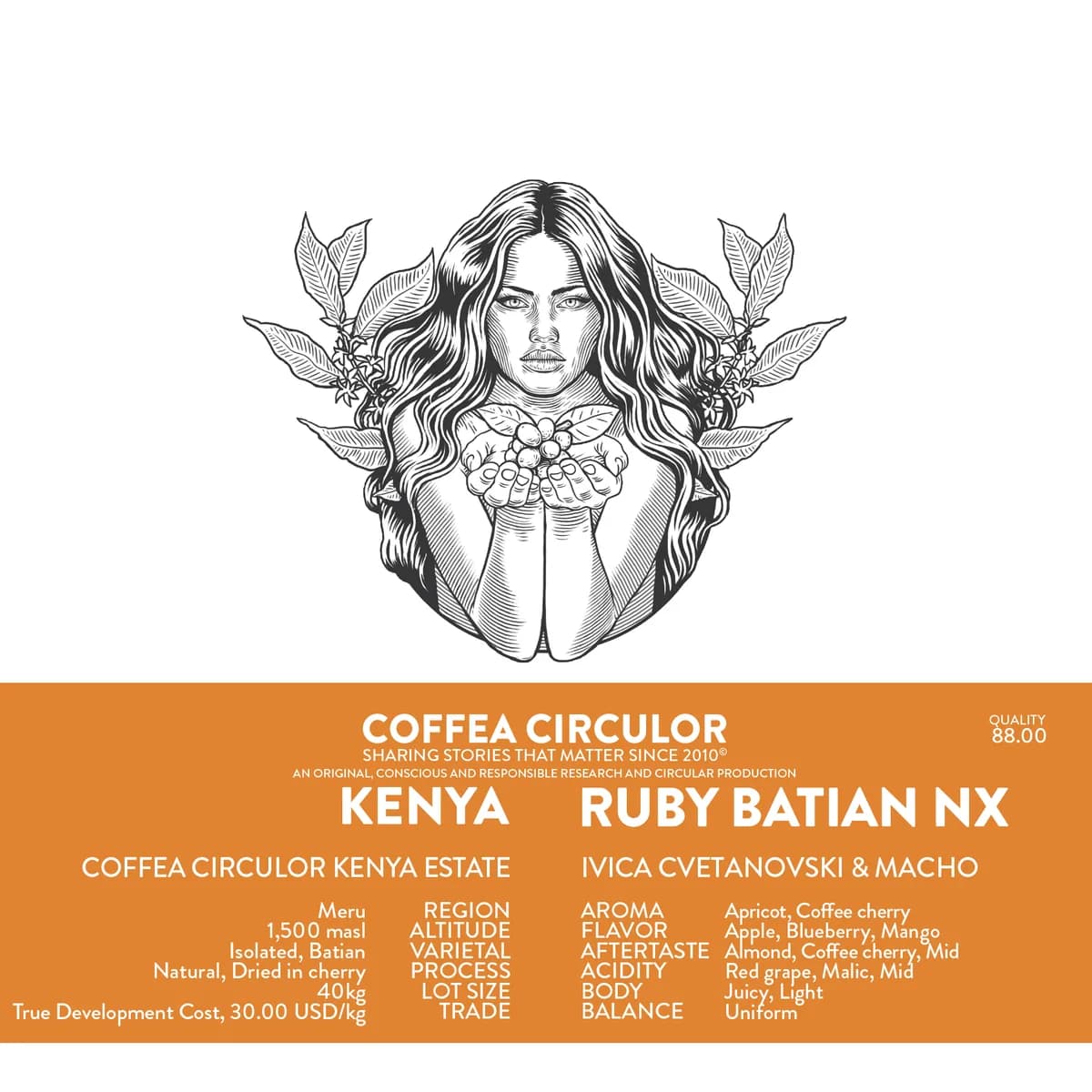 kenya coffea circulor ruby isolated batian natural nx, kenya coffee from coffea circulor