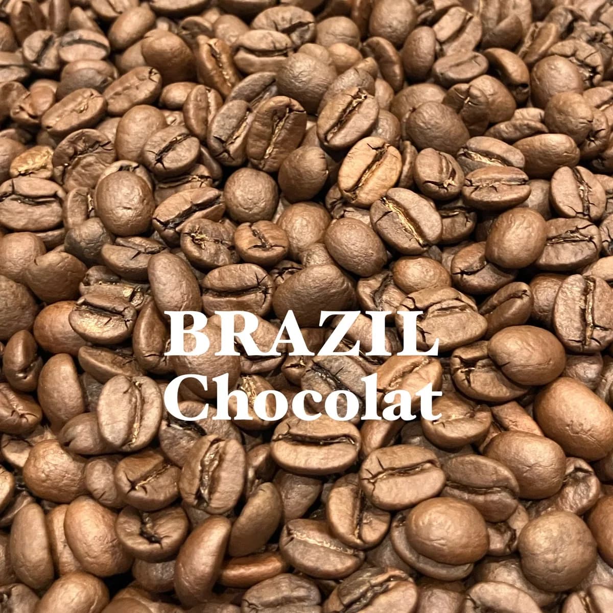 ブラジル・ショコラ 200g/brazil・chocolat, brazil coffee from jupiters coffee roasters