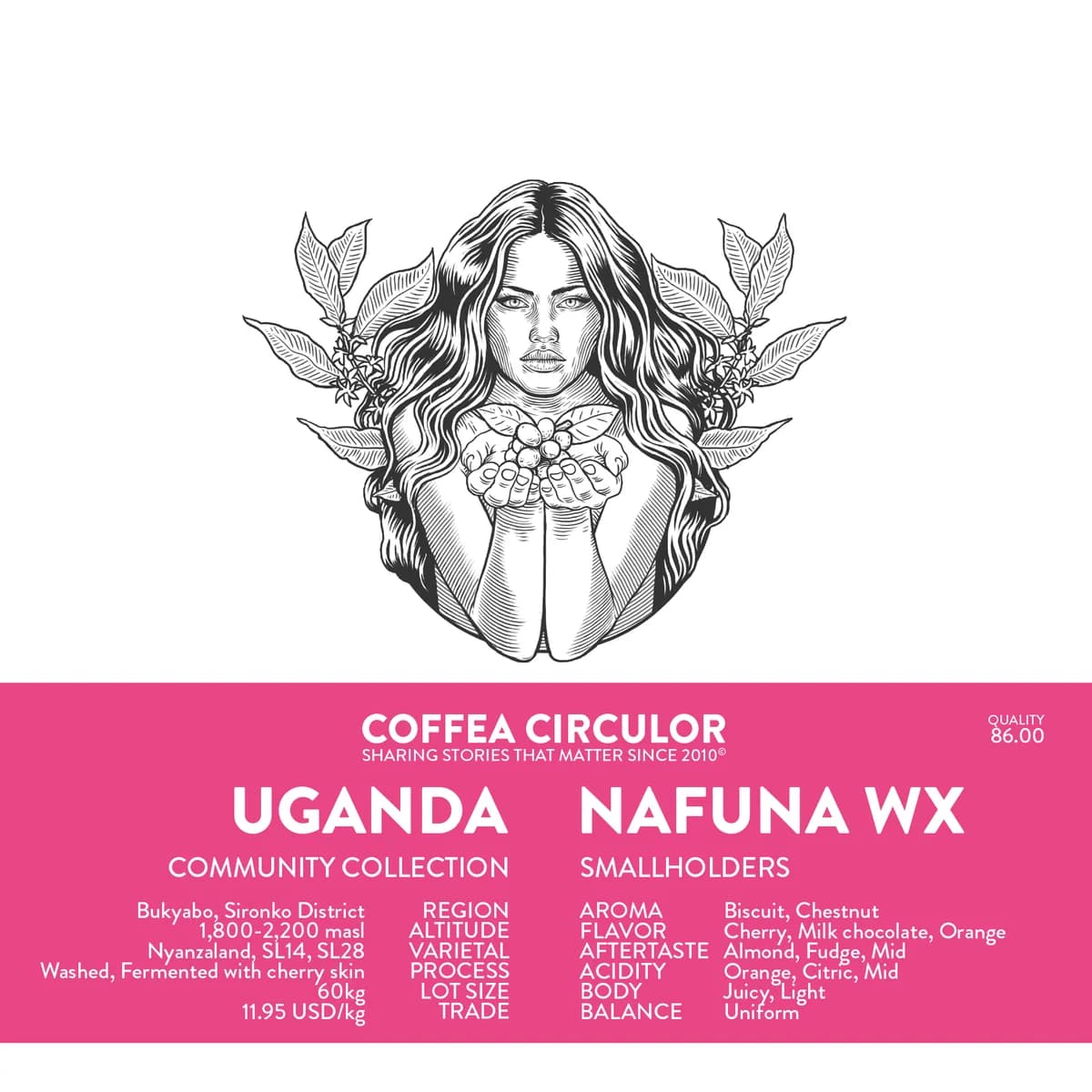 uganda nafuna washed wx, uganda coffee from coffea circulor