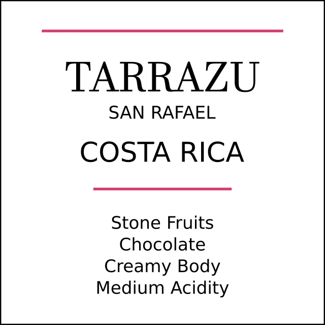costa rica tarrazu medium roast, costa rica coffee from pebble and pine coffee