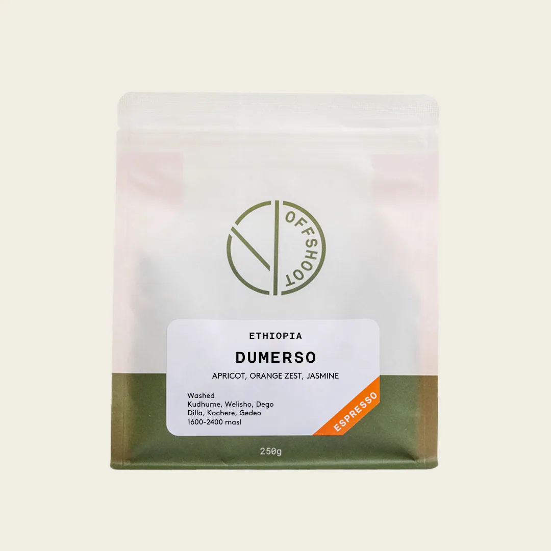 dumerso, ethiopia + colombia coffee from offshoot coffee