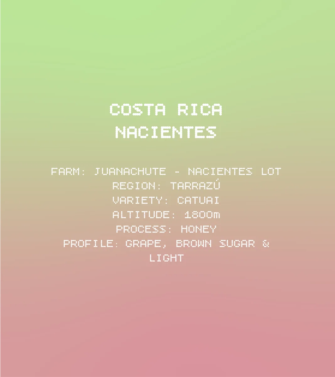 costa rica nacientes, costa rica coffee from solkant café & roastery