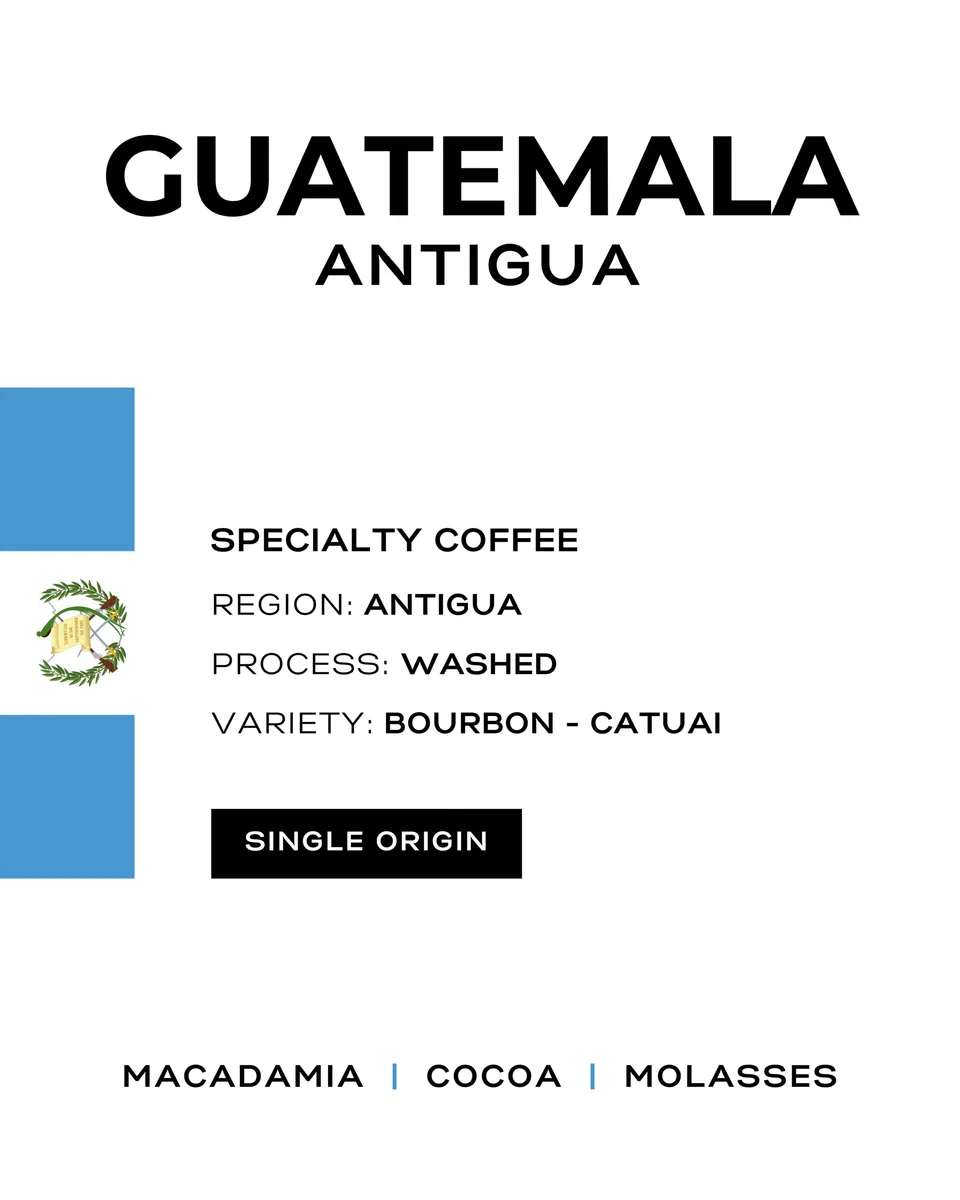 guatemala antigua, guatemala coffee from patio coffee roasters