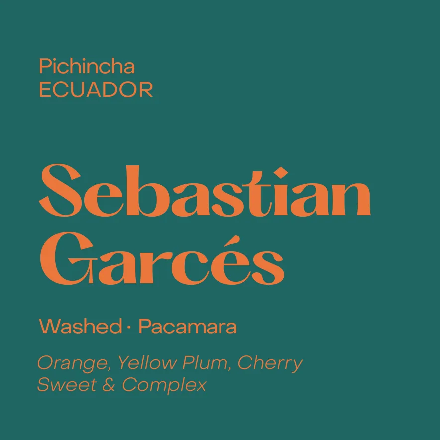 ecuador sebastian garces, washed pacamara, ecuador coffee from subtext coffee roasters