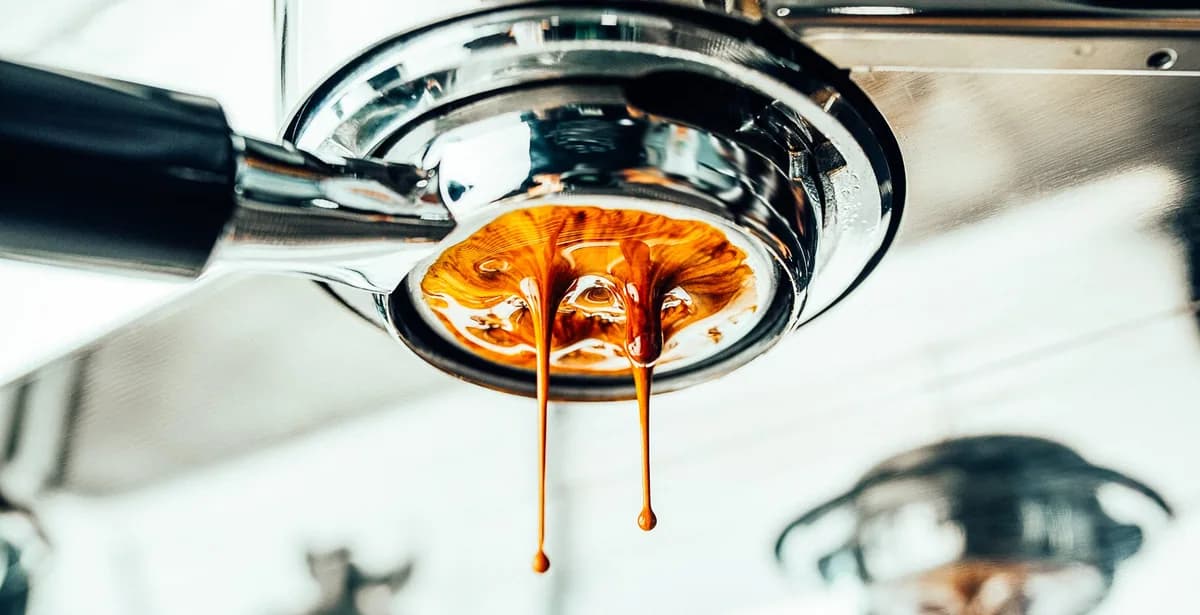 signature blend, brazil + colombia + ethiopia coffee from rave coffee love lane