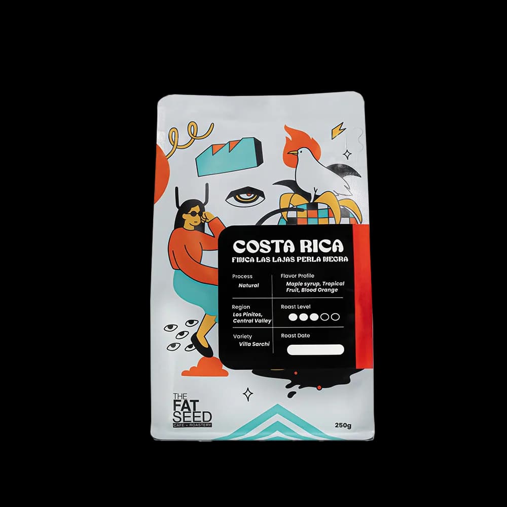 costa rica finca las lajas perla negra natural, costa rica coffee from the fat seed cafe + roastery molito