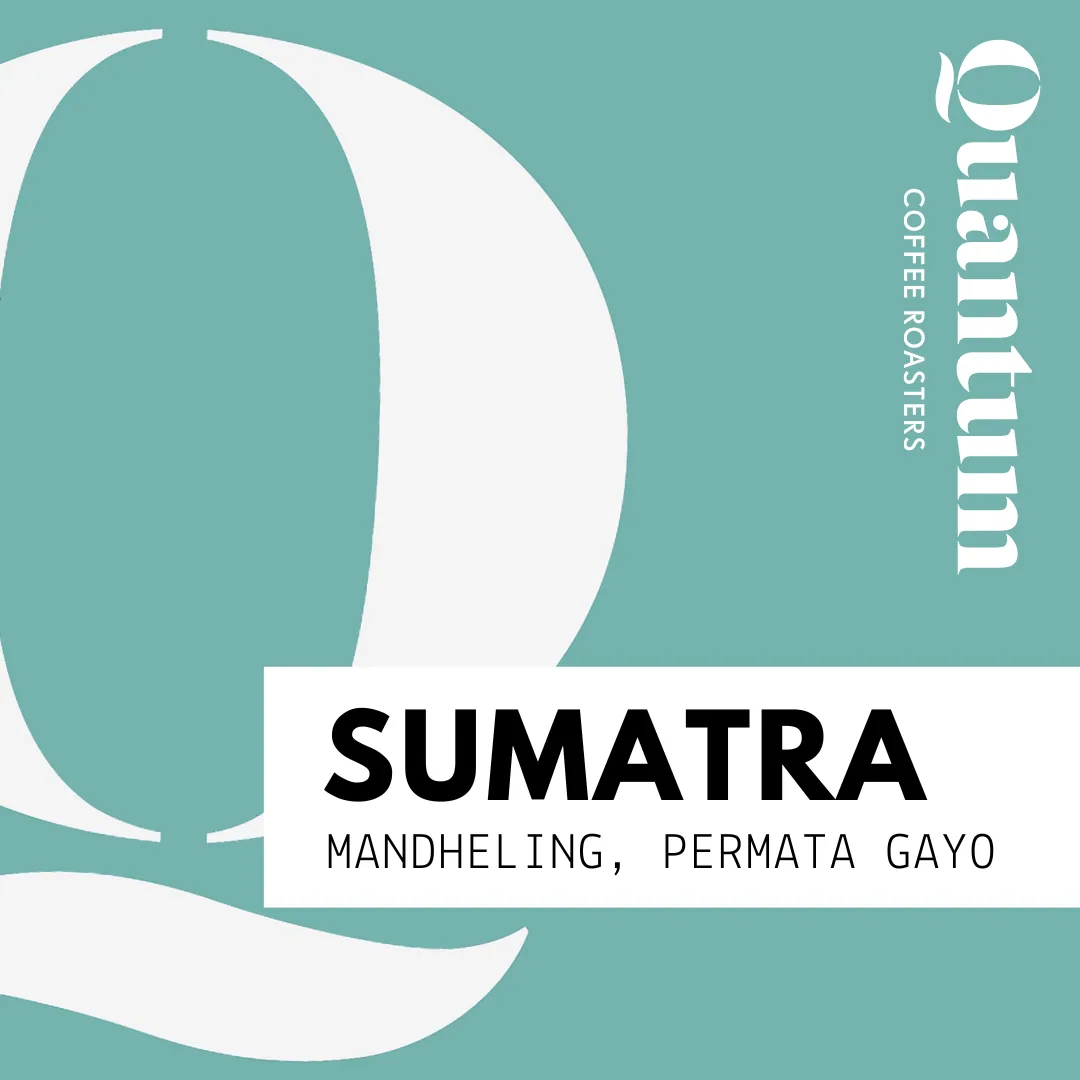 sumatra (indonesia) - mandheling, permata gayo, indonesia + sumatra coffee from quantum coffee roasters