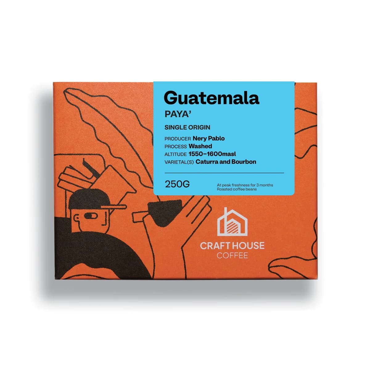 guatemala paya', guatemala coffee from craft house coffee
