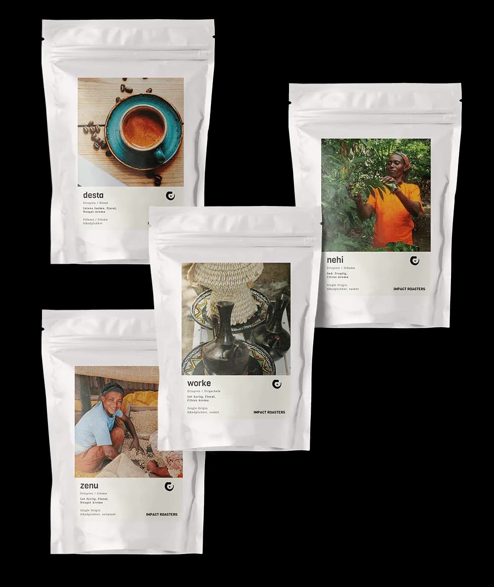 coffee taster - espresso, ethiopia coffee from impact roasters