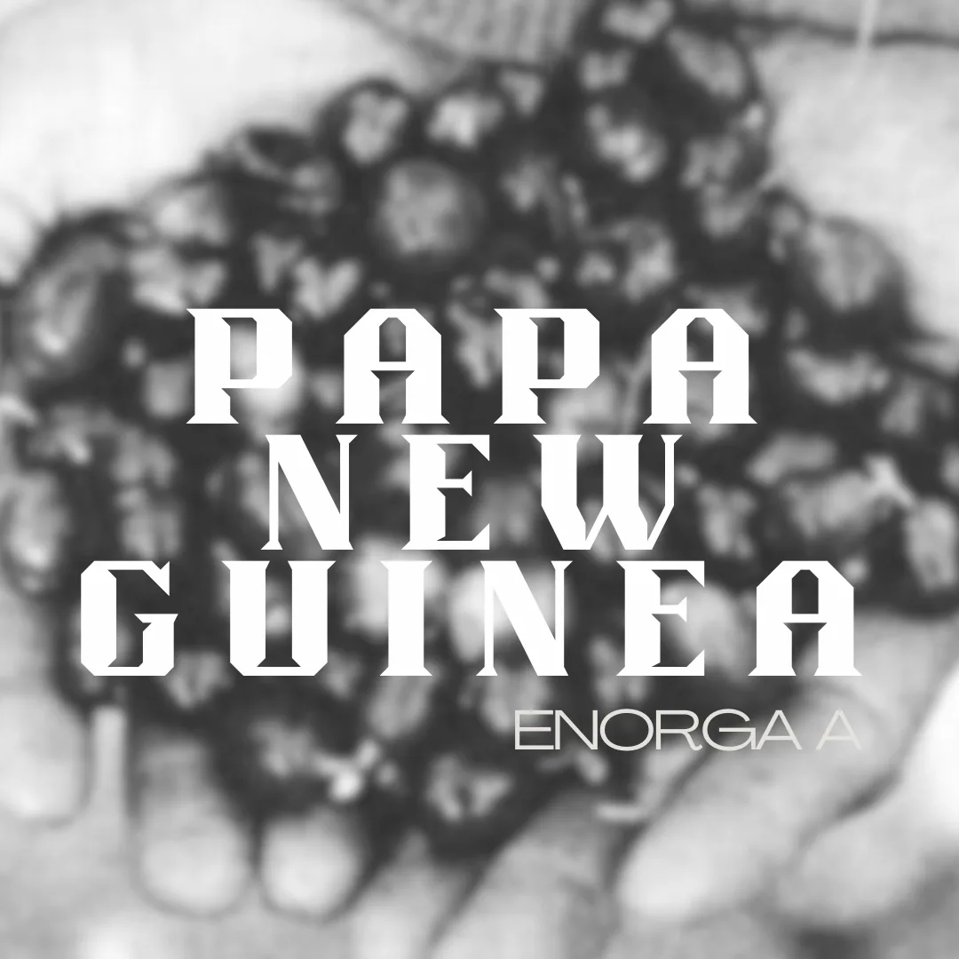 papua new guinea kongo, papua new guinea coffee from deluxe coffeeworks roastery & espresso bar