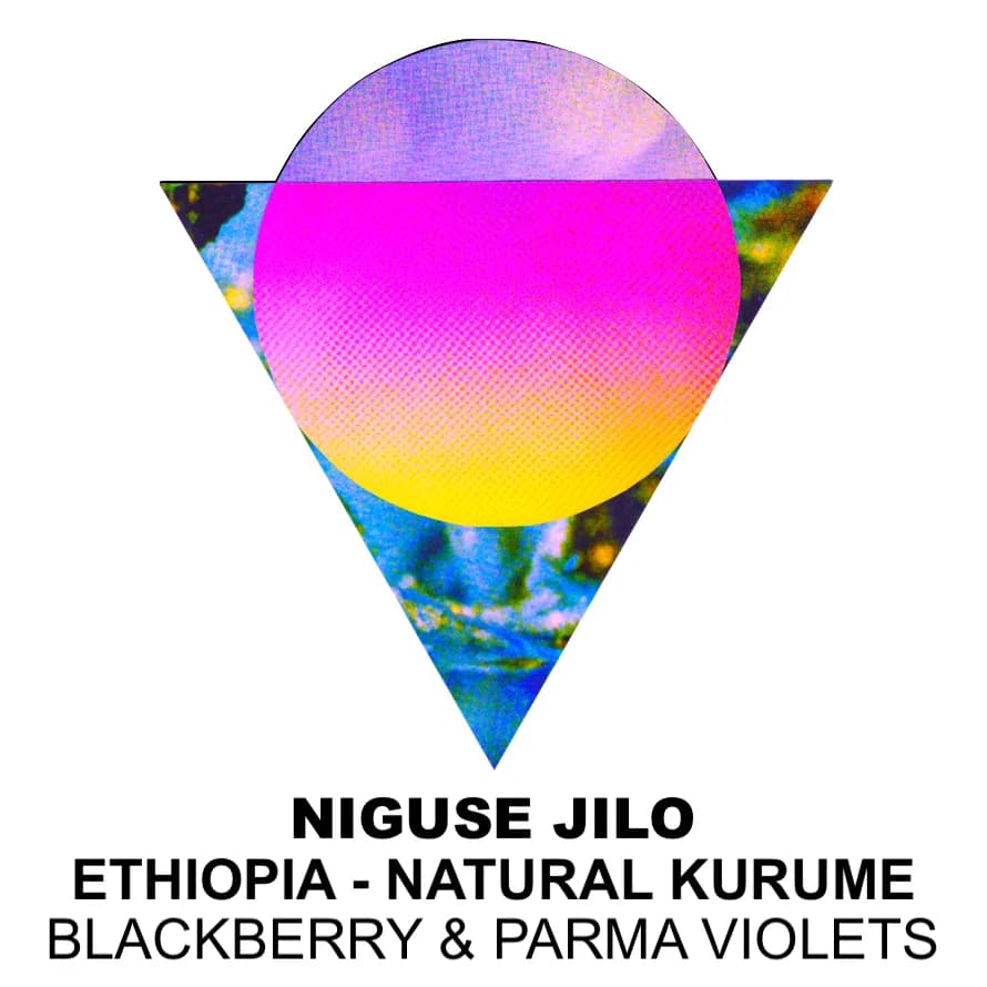 niguse jilo – ethiopia, ethiopia coffee from ancoats coffee co.