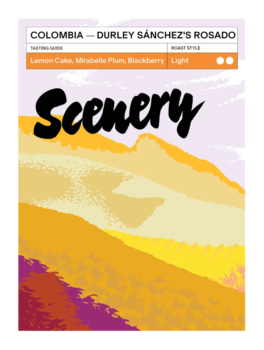 colombia - durley sánchez's rosado, colombia coffee from scenery