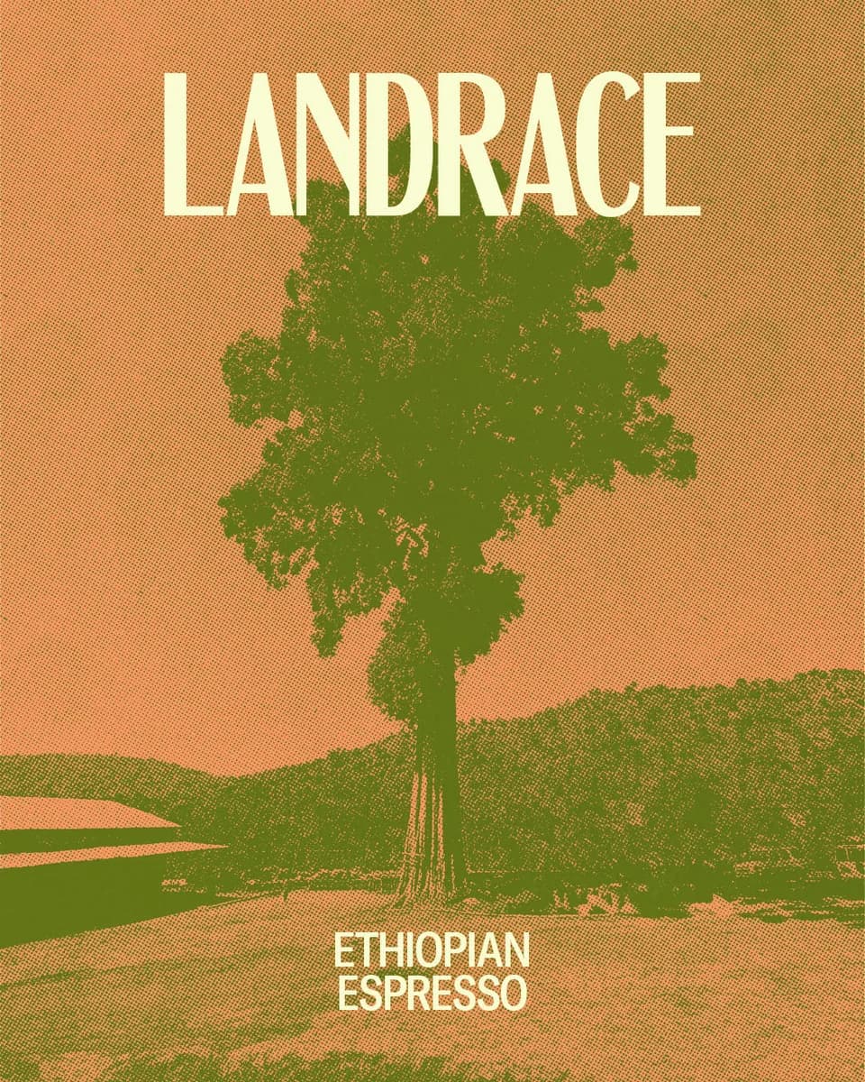 landrace, ethiopia coffee from red bank coffee roasters