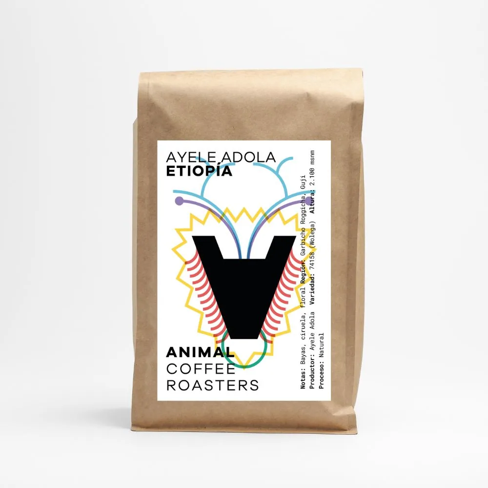 etiopía ayele adola, ethiopia coffee from animal coffee roasters - café de especialidad - specialty coffee