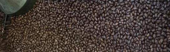 kenya coffee peaberry, kenya coffee from weaver's coffee & tea - san rafael cafe