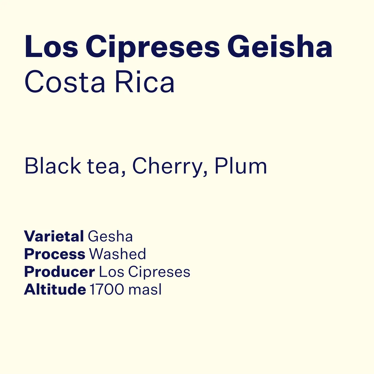 costa rica los cipreses geisha, costa rica coffee from high note roasters
