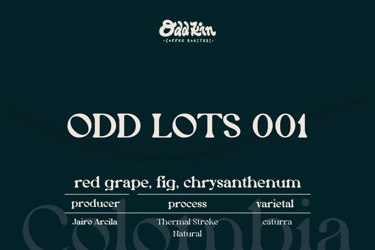 odd lots 001 (thermal stroke natural), colombia coffee from oddkin coffee roasters