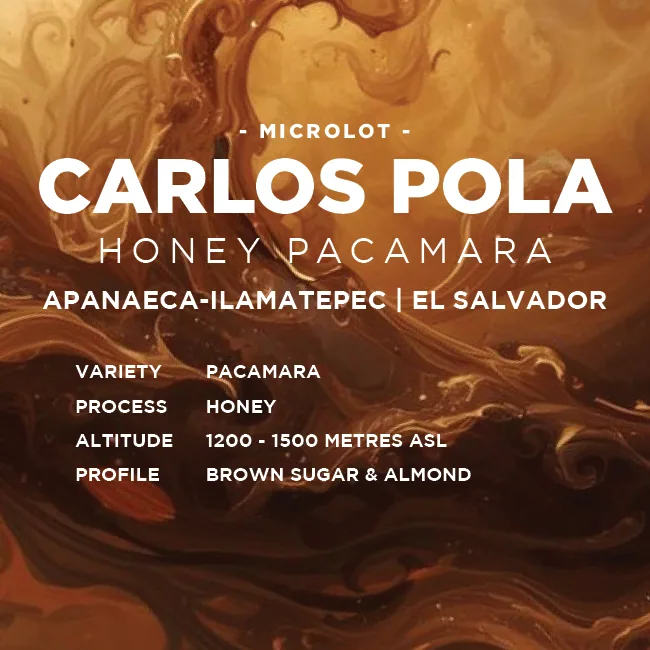 el salvador: carlos pola, el salvador coffee from muttley & jack's coffee roasters