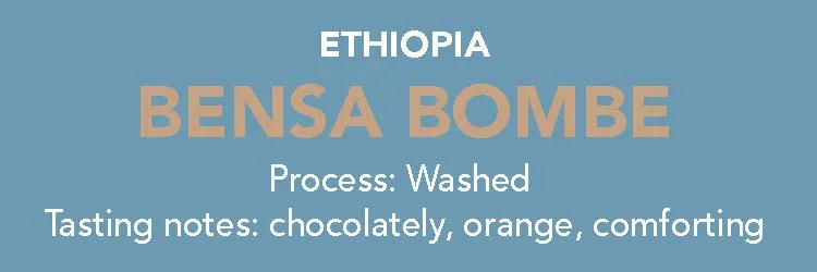 dose - ethiopia, bensa bombe, ethiopia coffee from methodical coffee