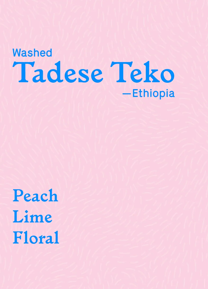 tadese teko, ethiopia coffee from little wolf coffee