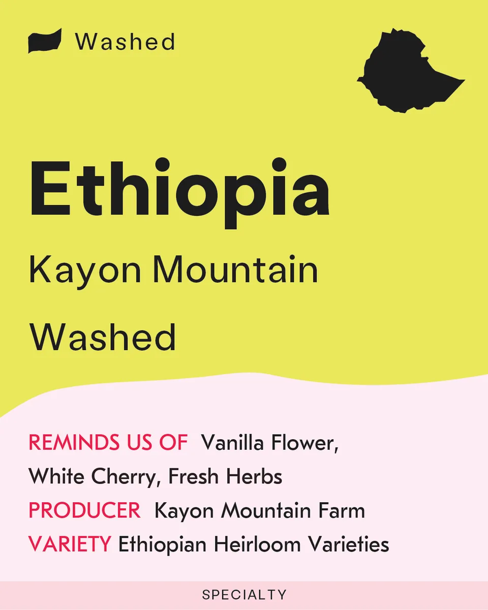 ethiopia, kayon mountain, washed, ethiopia coffee from sk coffee: coffee bar & roastery