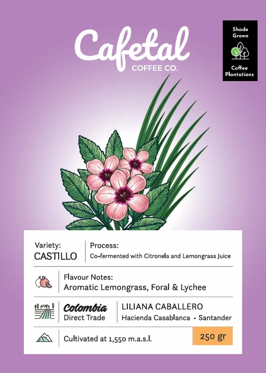 castillo aromatic coffee beans, colombia coffee from cafetal coffee co.