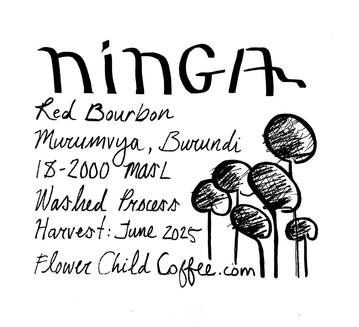 ninga, burundi coffee from flower child