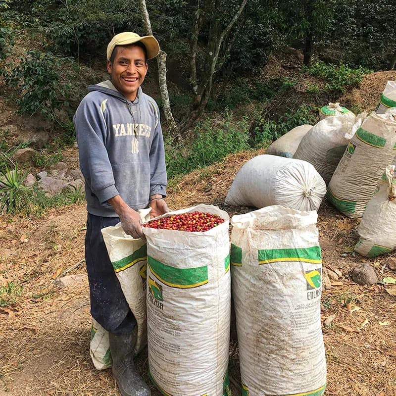 guatemala linda vista washed - espresso, guatemala coffee from cubbyhouse coffee