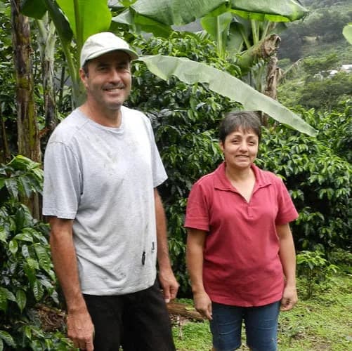 farami - raw green coffee - costa rica, costa rica coffee from transcend coffee and roastery