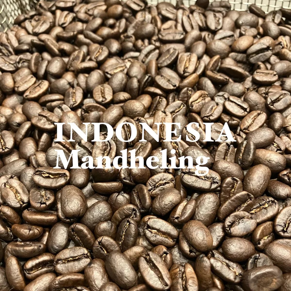インドネシア・マンデリン 200g/indonesia・mandheling, indonesia + sumatra coffee from jupiters coffee roasters