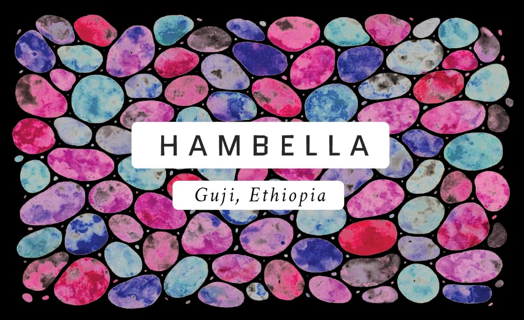 hambella, ethiopia (coffee for milk), ethiopia coffee from brighter coffee