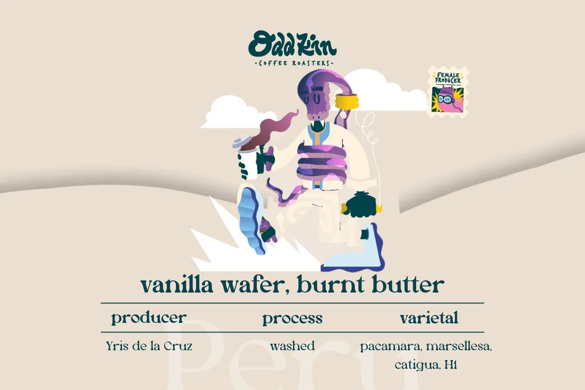 de la cruz, peru, peru coffee from oddkin coffee roasters