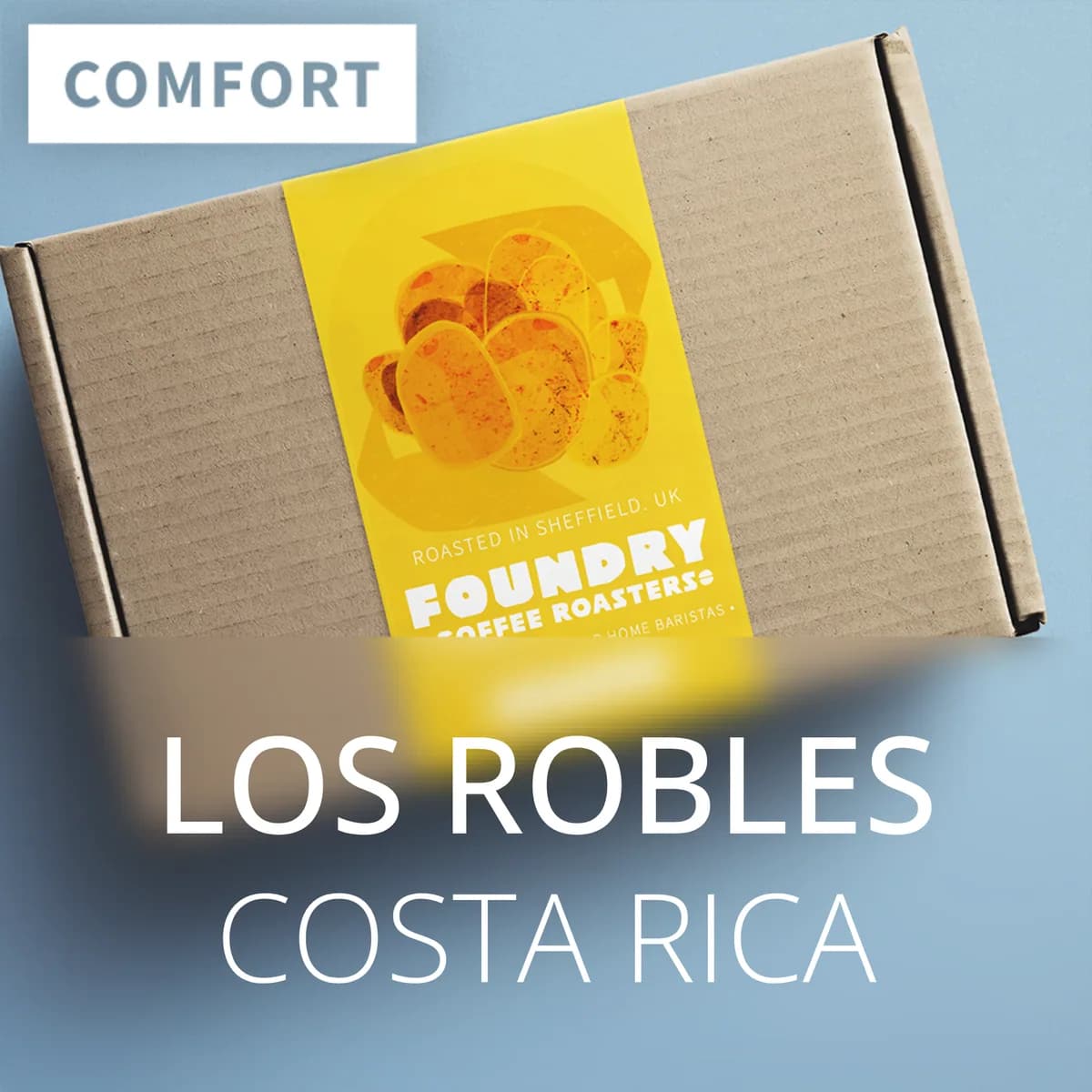 los robles - costa rica, costa rica coffee from foundry coffee roasters