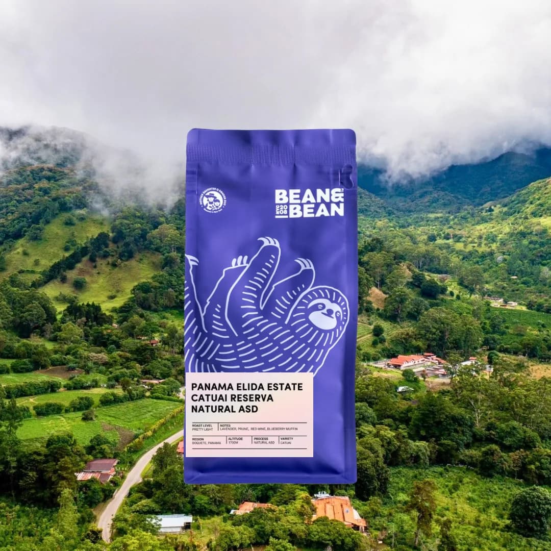 panama elida estate catuai reserva natural asd, panama coffee from bean & bean queens — roastery & cafe