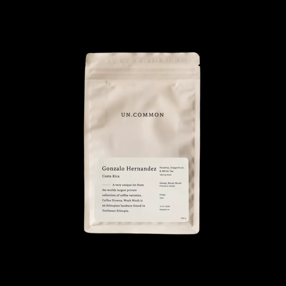 holland edition 04 / gonzalo hernandez (private collection lot), ethiopia + costa rica coffee from the right roast