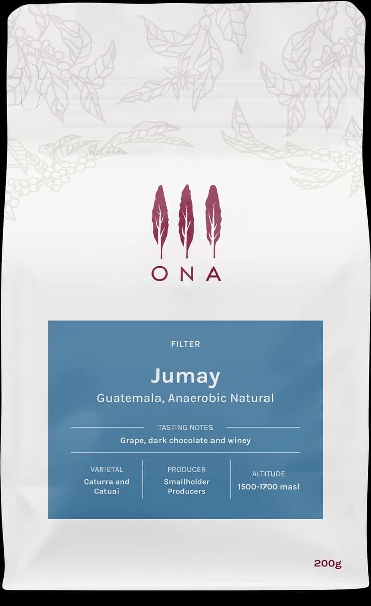 jumay, guatemala, anaerobic natural, guatemala coffee from ona