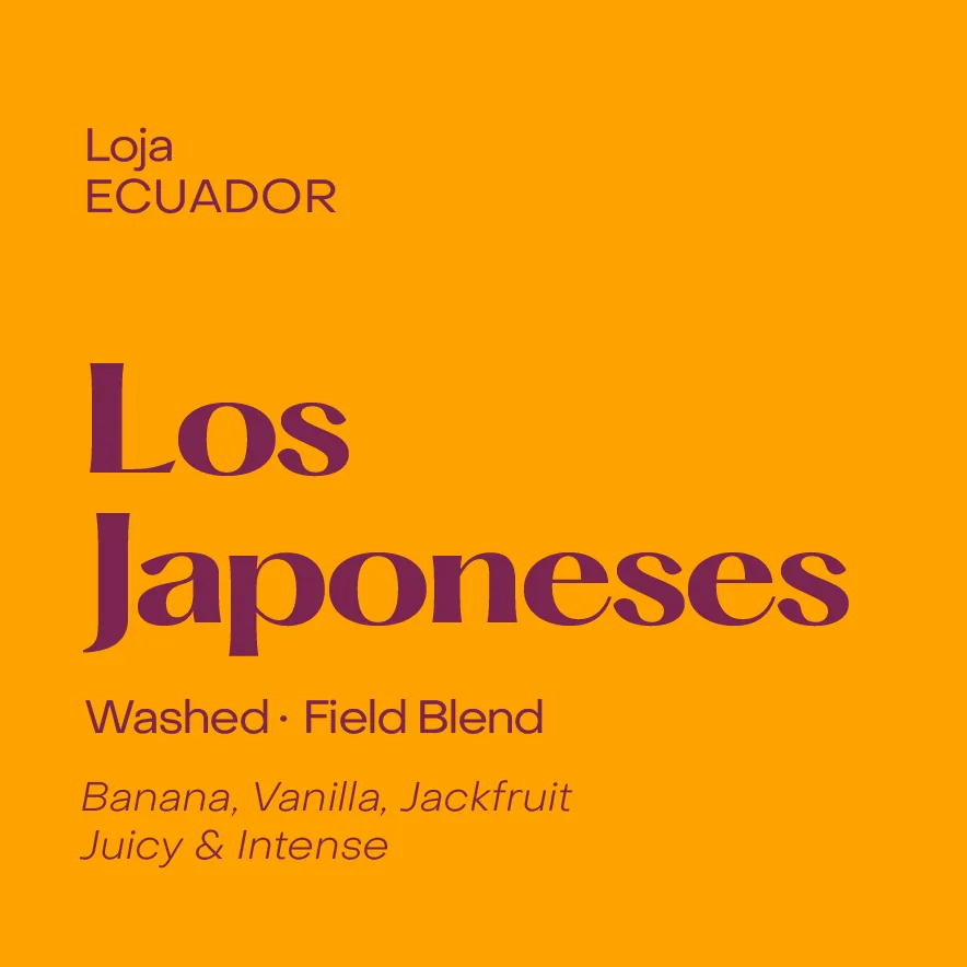ecuador los japoneses, washed field blend, ecuador coffee from subtext coffee roasters