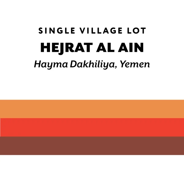 yemen hejrat al ain, yemen coffee from h&s coffee roasters