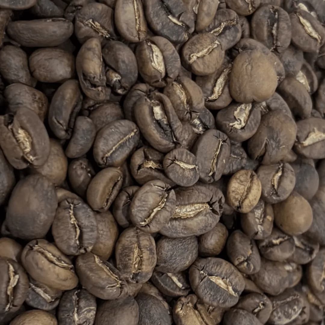 roasted espresso coffee blend, indonesia + sumatra coffee from pt. indonesia specialty coffee