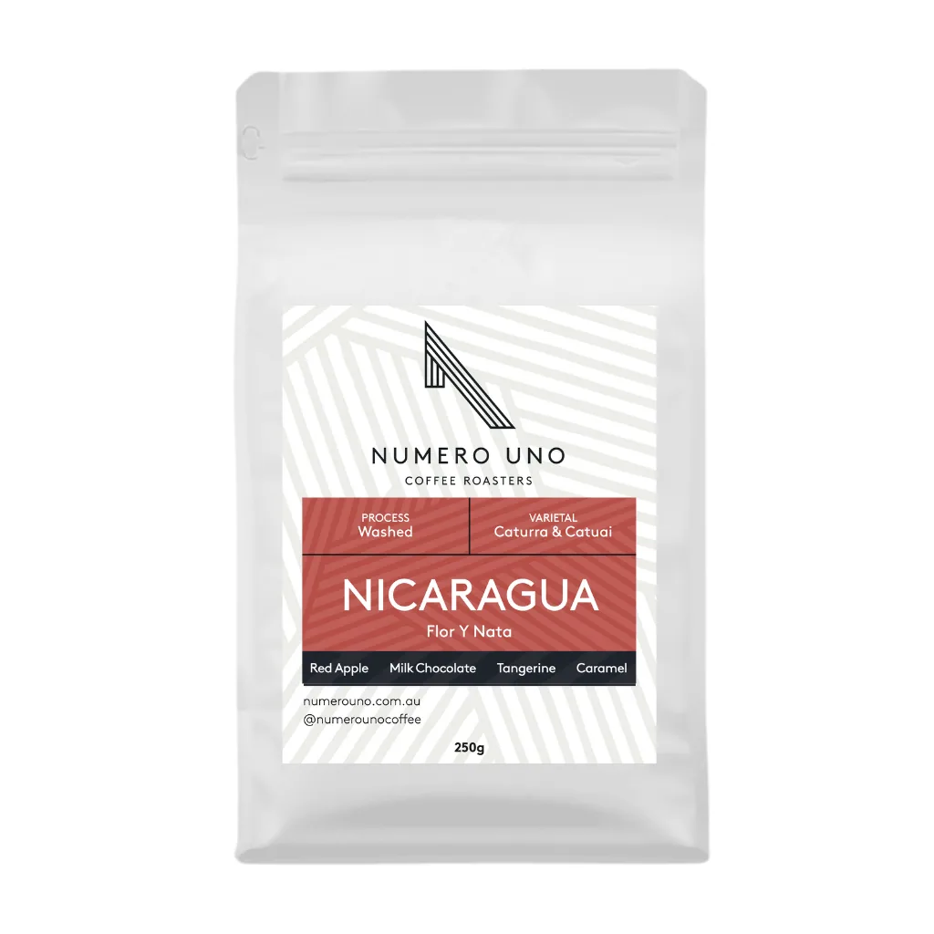 nicaragua, flor y nata (washed), nicaragua coffee from numero uno coffee roasters