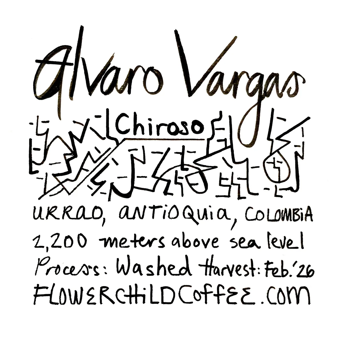 alvaro vargas - chiroso, ethiopia + colombia + yemen coffee from flower child