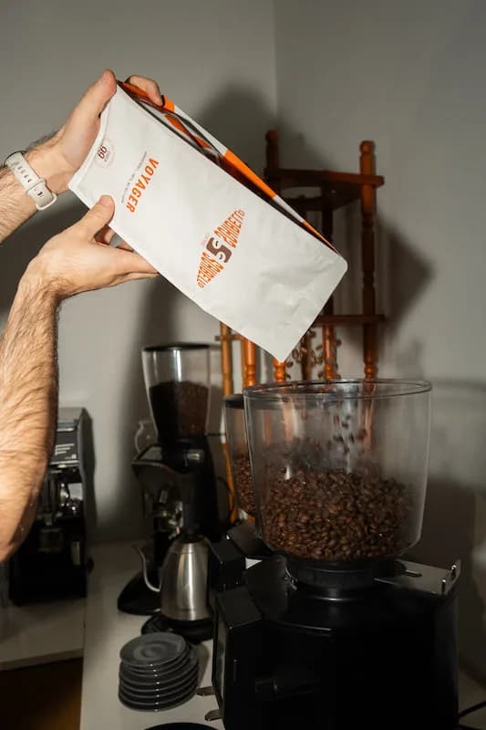 voyager, brazil + india + papua new guinea coffee from schibello coffee roasters