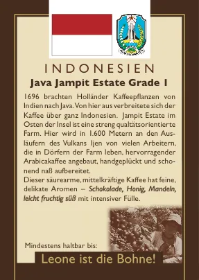 java jampit estate grade i, indonesia coffee from leone caffè