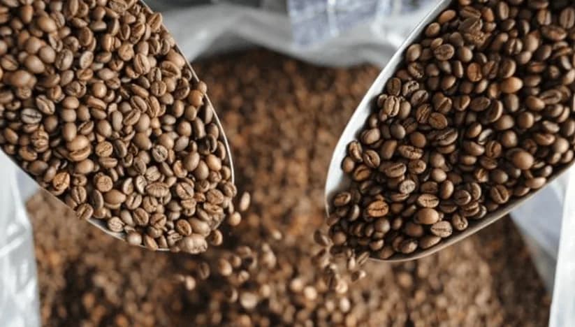 build your own blend, colombia + brazil coffee from king carlos coffee roasters