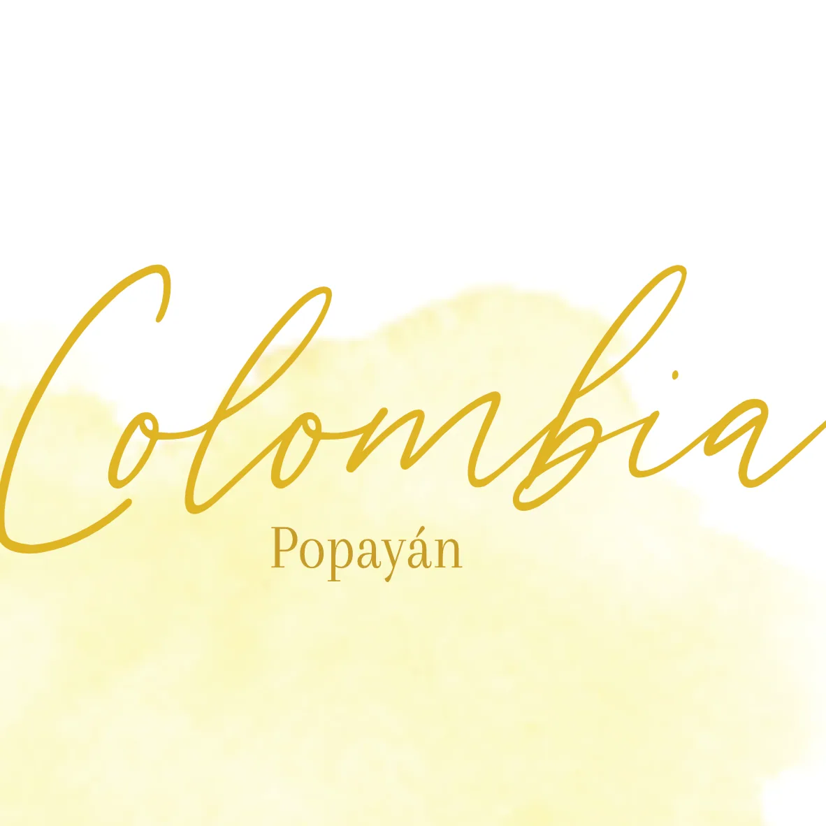 colombia - popayán, colombia coffee from fire & flow coffee roastery & espresso bar