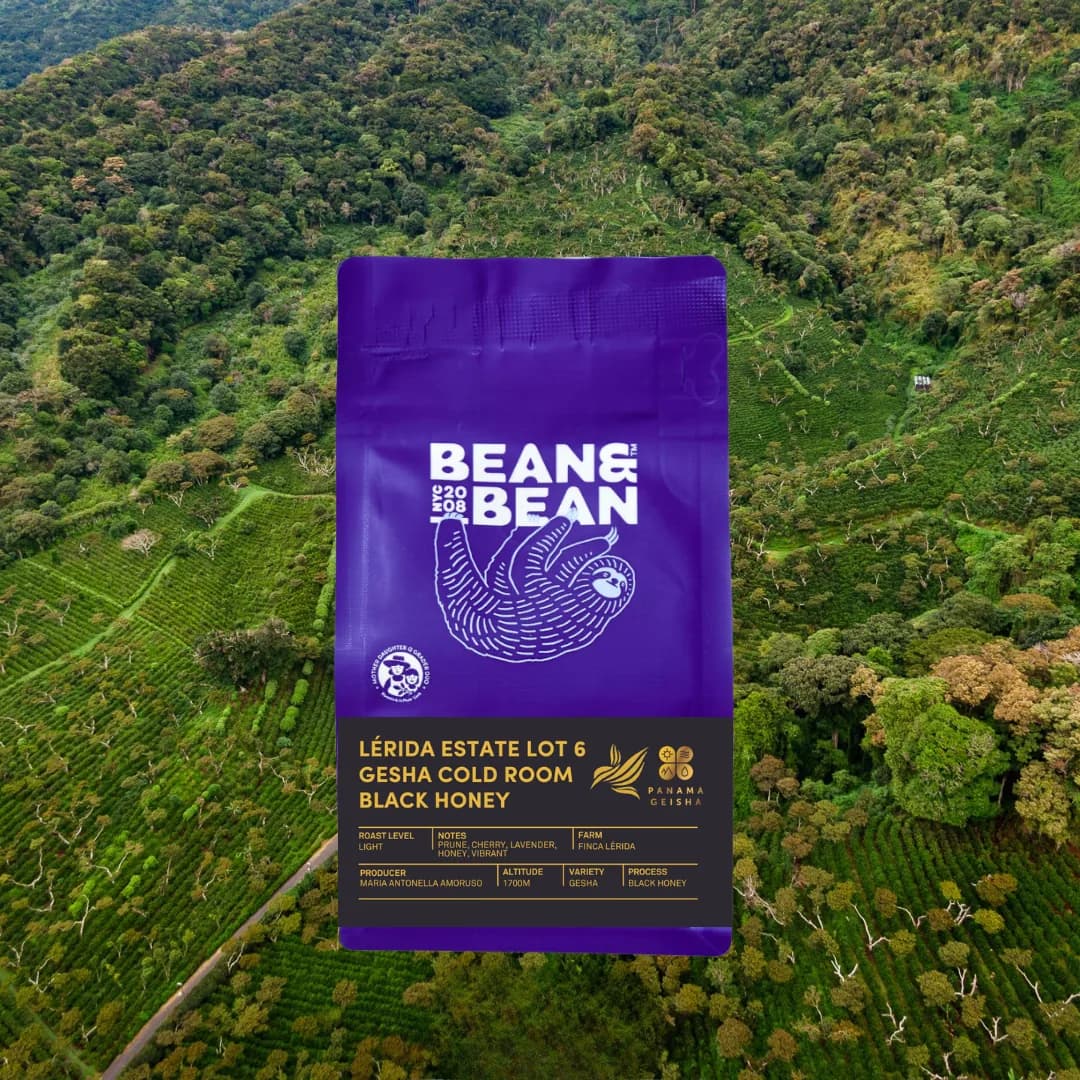 panama lérida estate lot 6 gesha cold room black honey, panama coffee from bean & bean queens — roastery & cafe
