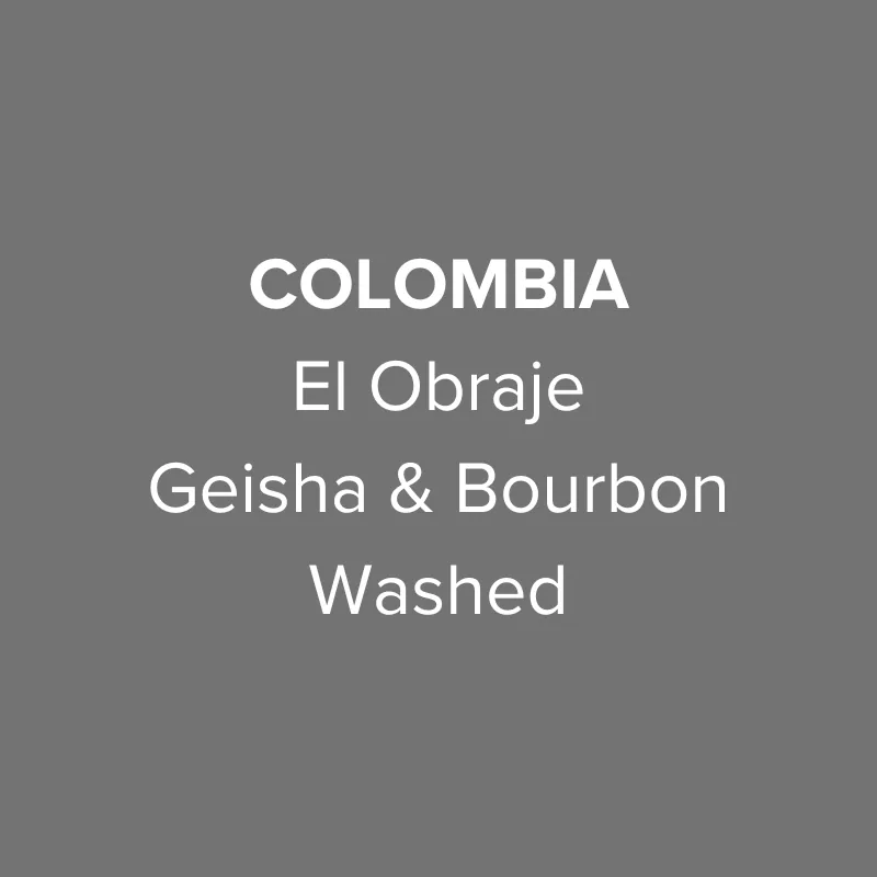 colombia el obraje geisha & bourbon washed, colombia coffee from oma coffee roaster