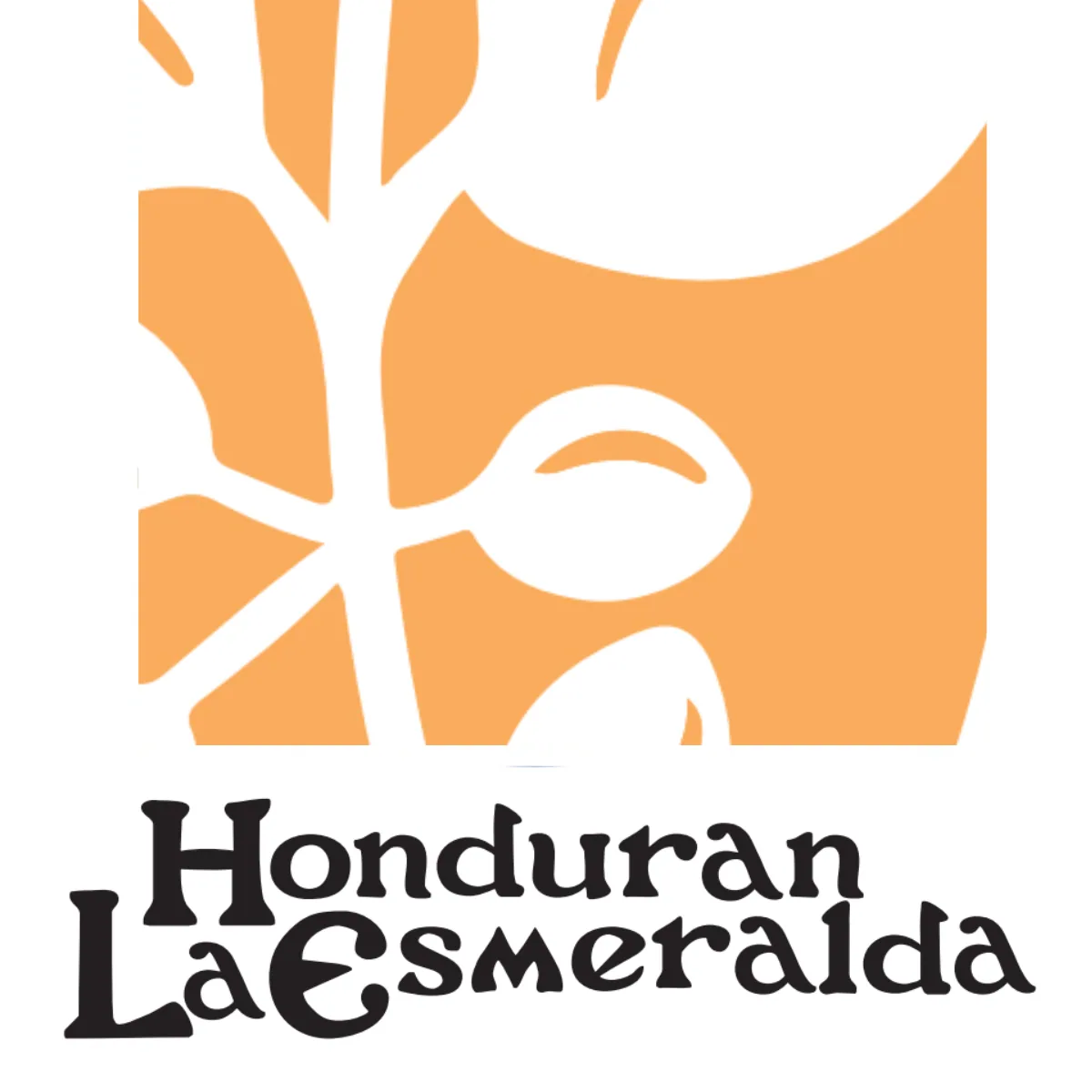 honduran la esmeralda anaerobic honey (8oz), honduras coffee from valkyrie coffee roasters