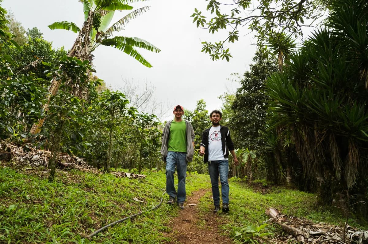 finca la odisea, honduras coffee from caribe coffee co. roastery