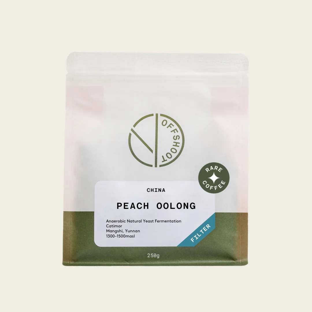 peach oolong *rare*, yunnan coffee from offshoot coffee